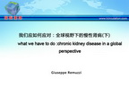 [ESH2013]我们应如何应对：全球视野下的慢性肾病（下）